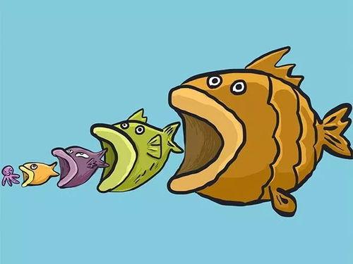 小瓜吃小鱼视频,一场趣味盎然的海洋冒险