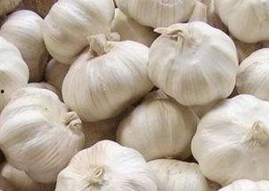 吸血瓜吃大蒜,一场奇妙的植物与食材对决