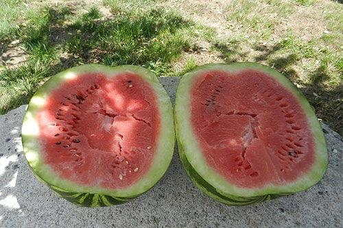 梦见吃西瓜卖瓜