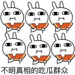 自动吃瓜搞笑视频素材,带你领略欢乐瞬间