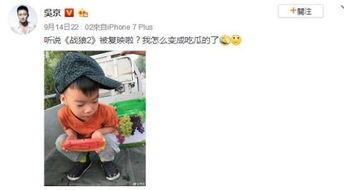 超萌吃瓜事件视频大全,视频大全带你领略萌宠欢乐时光