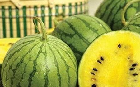 吃西瓜直接吃瓜心好吗视频,揭秘直接食用的健康与美味